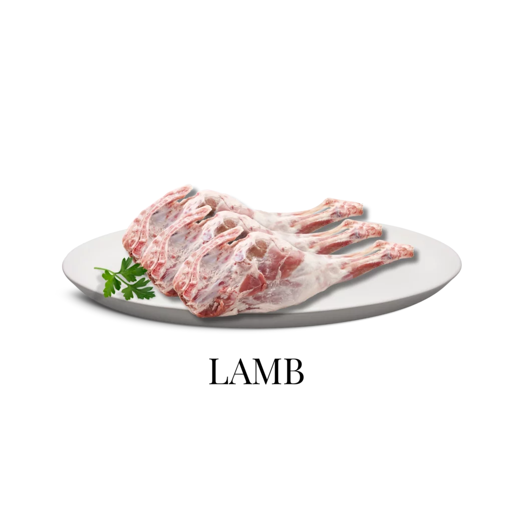 Lamb